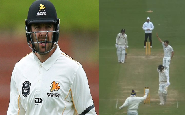 Watch: Tom Blundell Given Out For Handling The Ball In Plunket Shield
