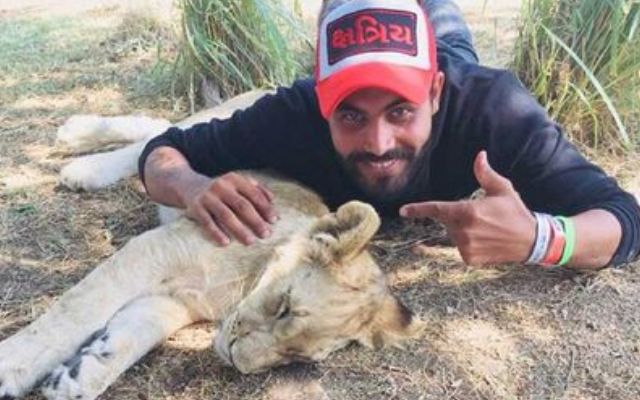 Ravindra Jadeja Risks Another Penalization After Posting A Video Of Lions Shot In Gir Forest National Park