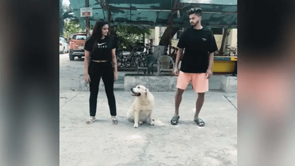 Watch: Shreyas Iyer’s Instagram Video With His Dog Goes Viral