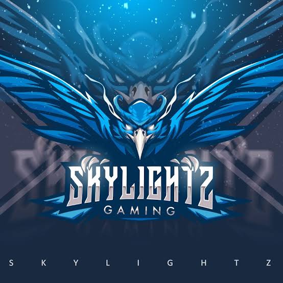 Skylightz Gaming To Invest $150,000 US Dollars In Indian Esports Talents By 2022
