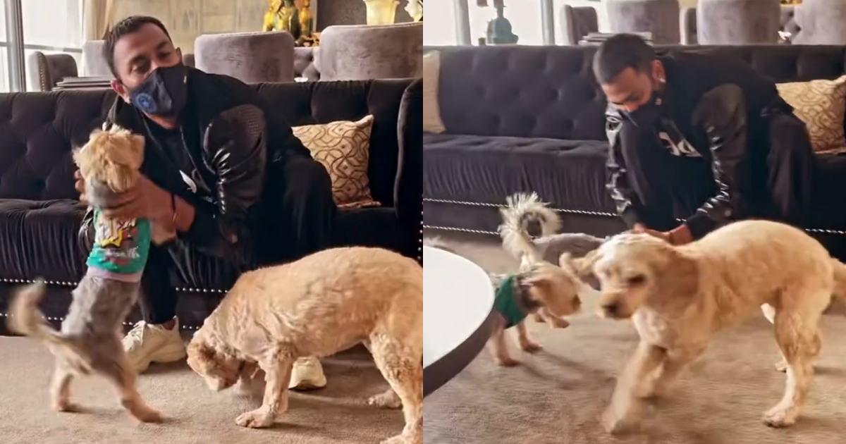 Krunal Pandya Shares Cute Video With Pet Dogs After Returning To India