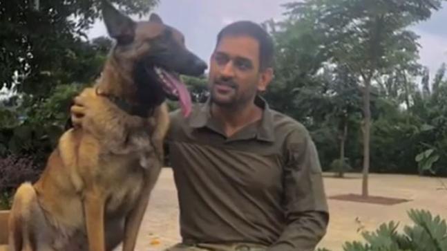 Indian Cricketers And Their Pet Dogs