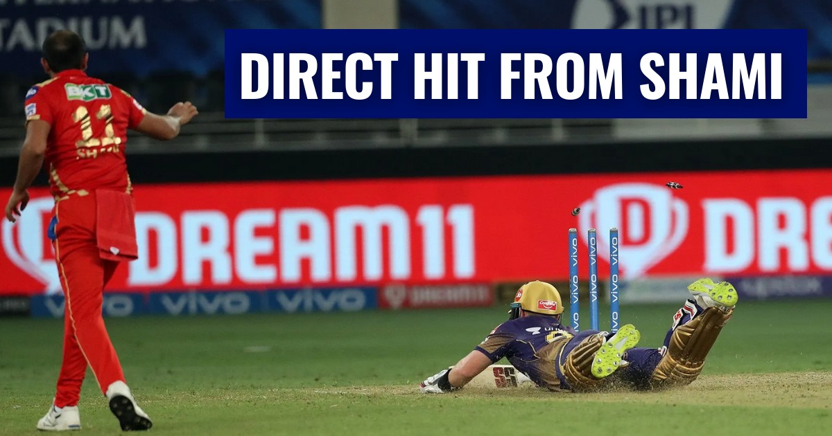 IPL 2021 Watch: Mohammed Shami Hits Bullseye To Run Out KKR Wicketkeeper Batsman Tim Seifert