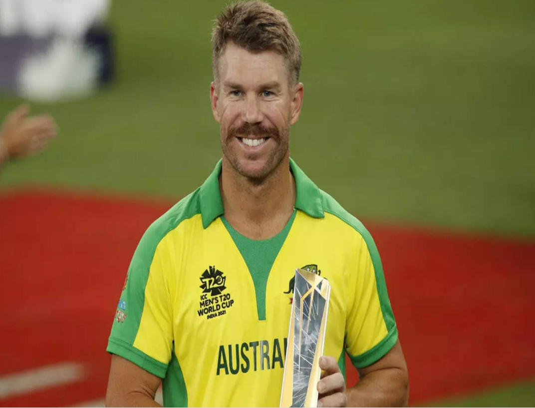 David Warner Bags ICC Player Of The Month For November