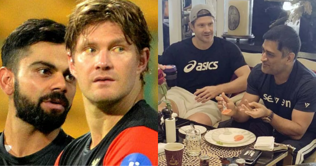 shane watson