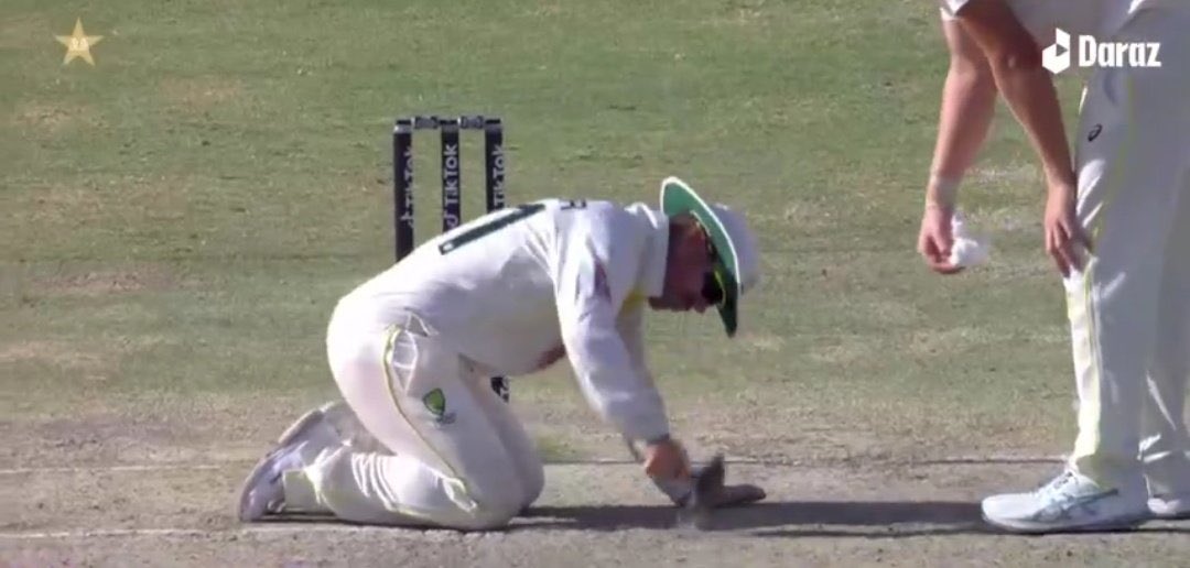 [Watch] David Warner Tries To Fix Karachi Pitch With Hammer; Wife Candice Reacts