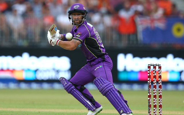 Matthew Wade Apologizes After Distracting Faf du Plessis While Batting In BBL12