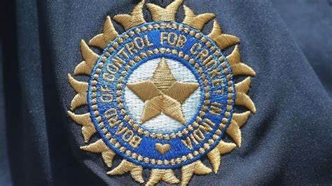 BCCI To Form Working Group For The 2023 ODI World Cup