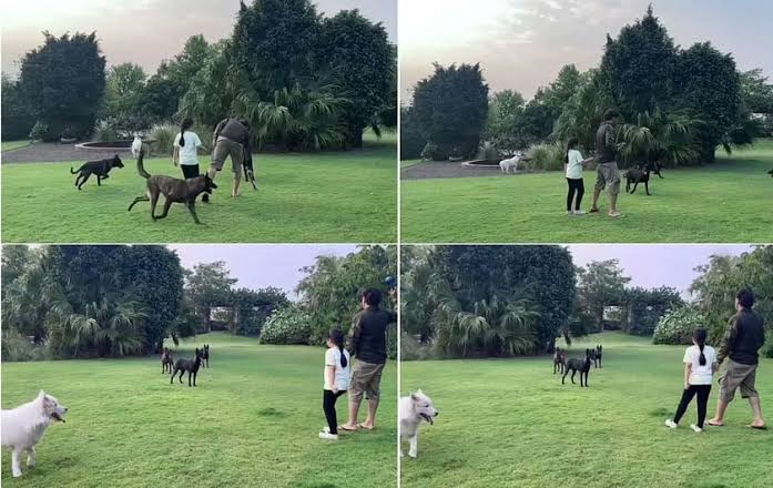 [Watch]: MS Dhoni and Ziva have fun With Their Animals