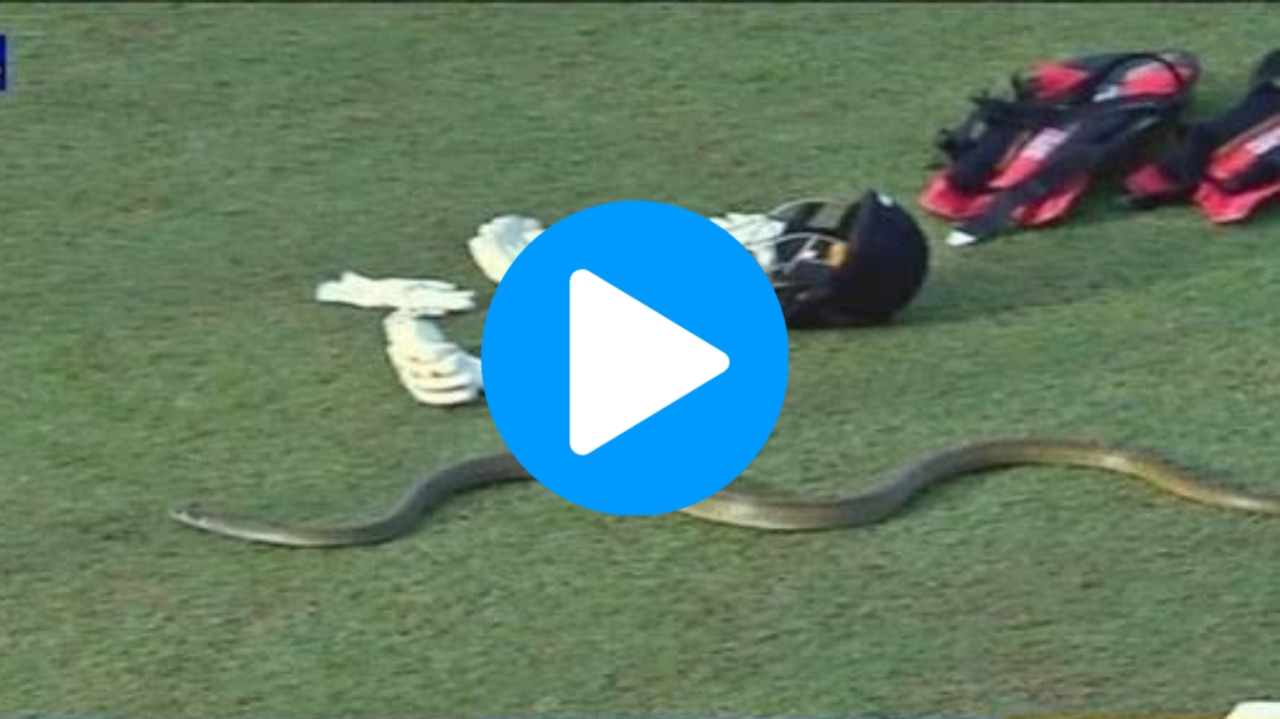 LPL 2023: [WATCH] Snake Halts Lanka Premier League, Dinesh Karthik Gives Epic Reaction