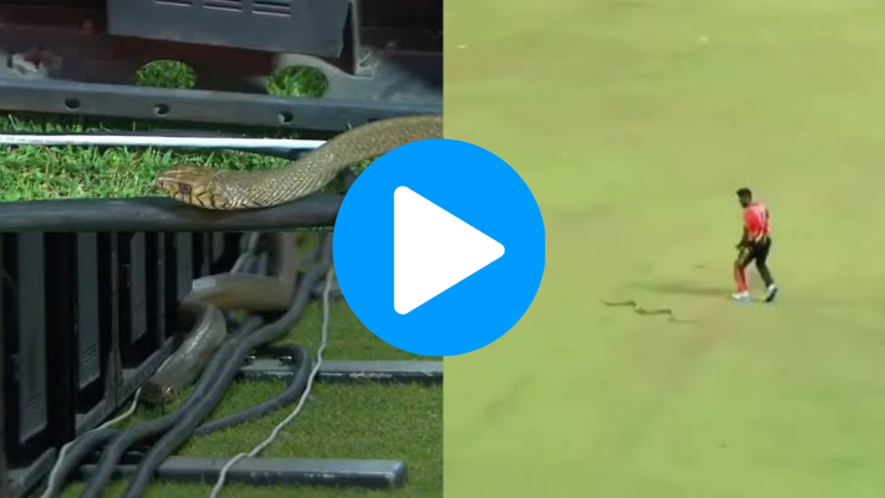 LPL 2023: Star Sri Lanka Player Narrowly Escapes Stepping On Snake While Fielding