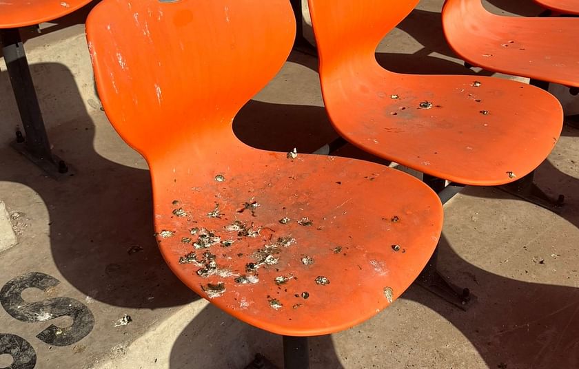 ICC Cricket World Cup 2023: Shocking Footage Goes Viral As Crow Droppings Cover Seats At Narendra Modi Stadium During 2023 World Cup Opener