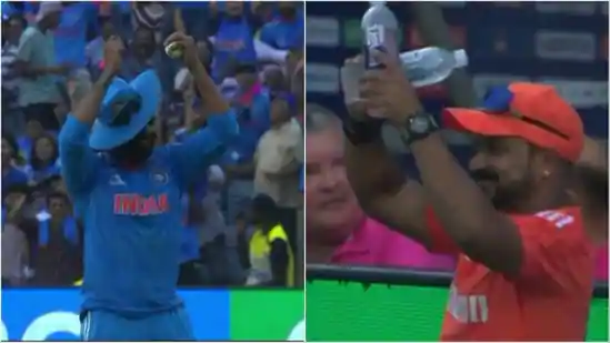 ICC Cricket World Cup 2023: [WATCH] Ravindra Jadeja Takes A Stunning Catch To Dismiss Mushfiqur Rahim