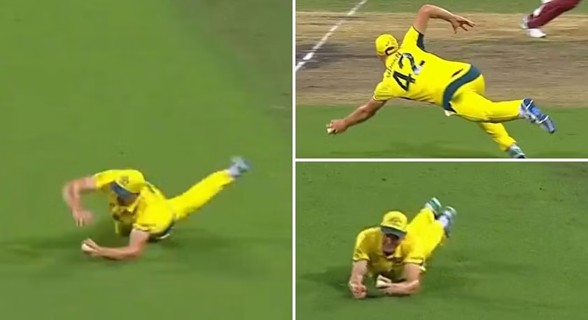 AUS vs WI: [WATCH] Cameron Green Grabs An Exceptional Diving Catch To Send Roston Chase Back