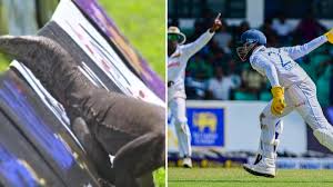 SL vs AFG: Unexpected Interruption In Test As Monitor Lizard Invades Play