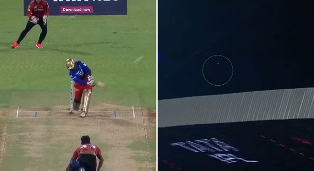 IPL 2024: [WATCH]- Dinesh Karthik Hits A Massive 108-Meter Six Off T Natarajan In The High-Scoring RCB vs SRH Match