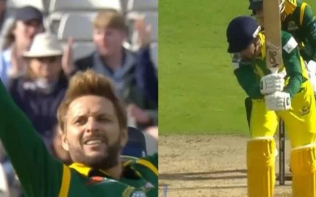 WCL 2024: [WATCH] Shahid Afridi Deceives Tim Paine With An Impeccable Yorker