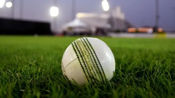 The Austrian Cricket Association Apologises To Israel Cricket After Incident At T20 Qualifier