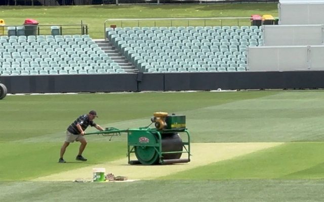 “The Pitch Will Have 6mm Grass”- Damian Hough Reveals At The Playing Conditions For The AUS vs IND Pink-Ball Test