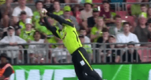 David Warner