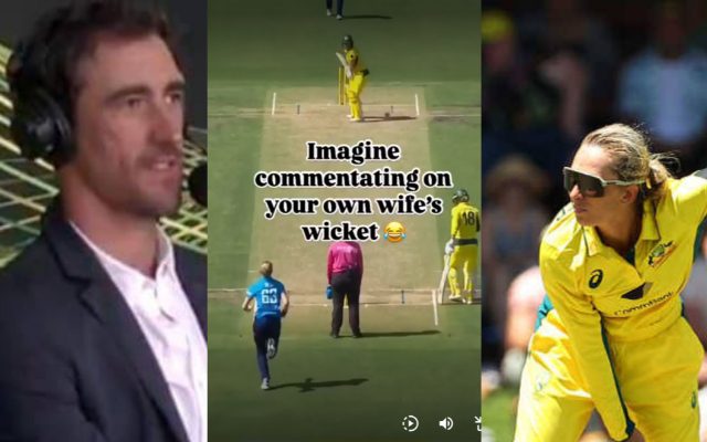 [Watch] Mitchell Starc’s Hilarious Take on Alyssa Healy During Women’s Ashes Commentary
