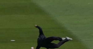 Glenn Phillips Stuns with Incredible Catch to Dismiss Virat Kohli in IND vs NZ Clash