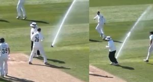 Bizarre moment halts County Championship match at Trent Bridge