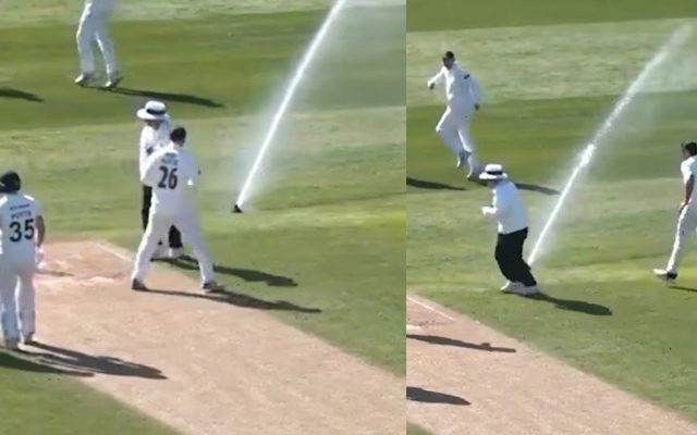 [Watch]: Bizarre moment halts County Championship match at Trent Bridge
