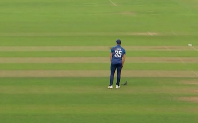[WATCH]- Heartwarming Moment: England Bowler Checks On Pigeon Hit During ENG vs WI 3rd ODI