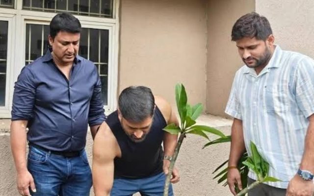 [WATCH]- MS Dhoni Celebrates 44th Birthday By Planting Sapling With Former IPL Teammates