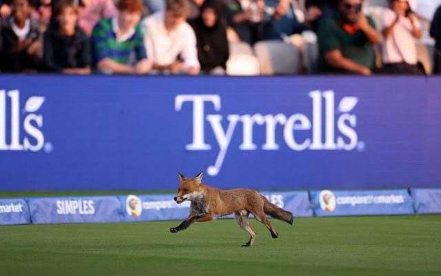 [WATCH]- Fox Halts Play During LS vs OI Clash In The Hundred 2025