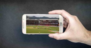 Cricket
